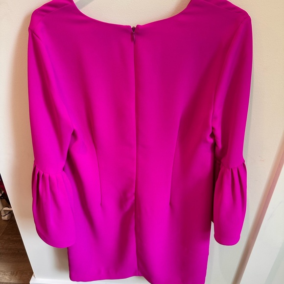 Banana Republic Pink Bell Sleeve Tunic Dress - Picture 3 of 9